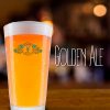 Insumos Golden Ale